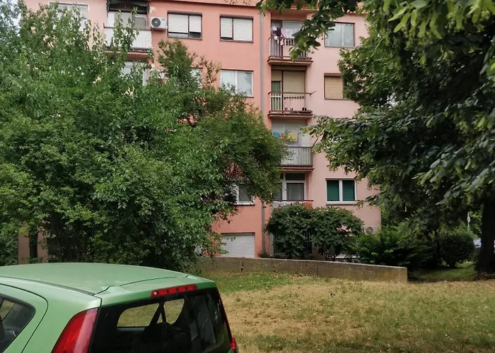 Tiktok アパート *